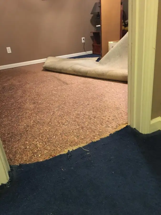 Carpet pad removal revealing water damage during Water Mitigation Services in Sheldon