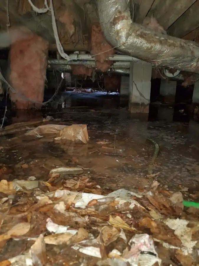 Crawl space flood assessment for Leak Detection & Repair in Sheldon