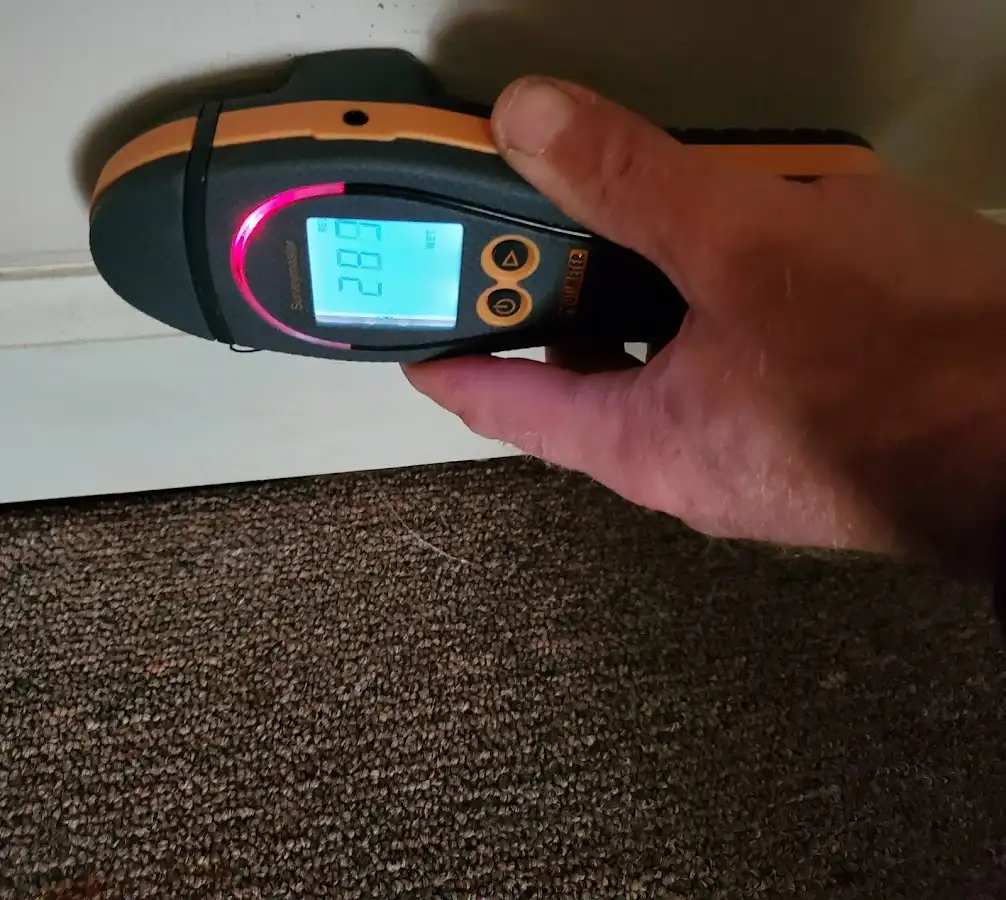 Moisture detection at baseboard during Mold Inspection & Testing in Sheldon